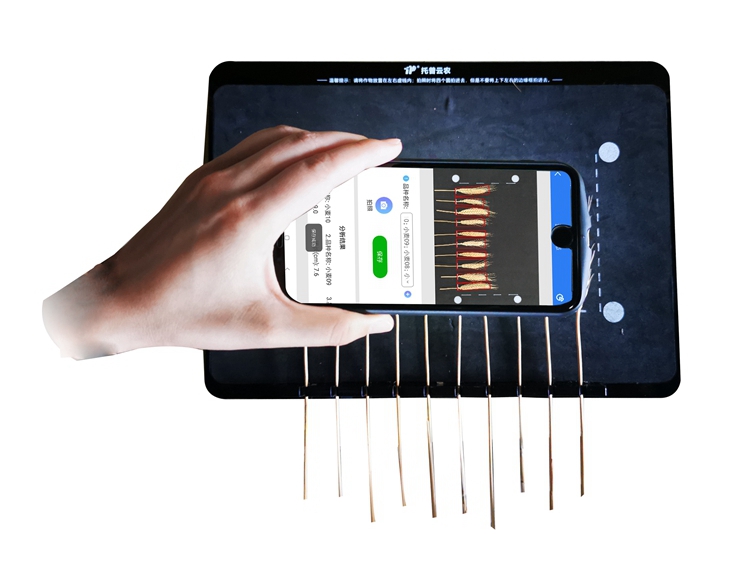 麥穗形態(tài)測量儀 TPMS-X-1