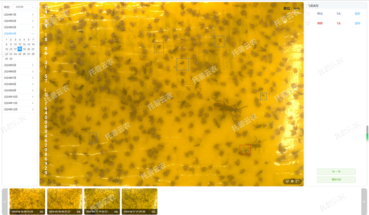 4. 智能識別 自動計數(shù)_750.png