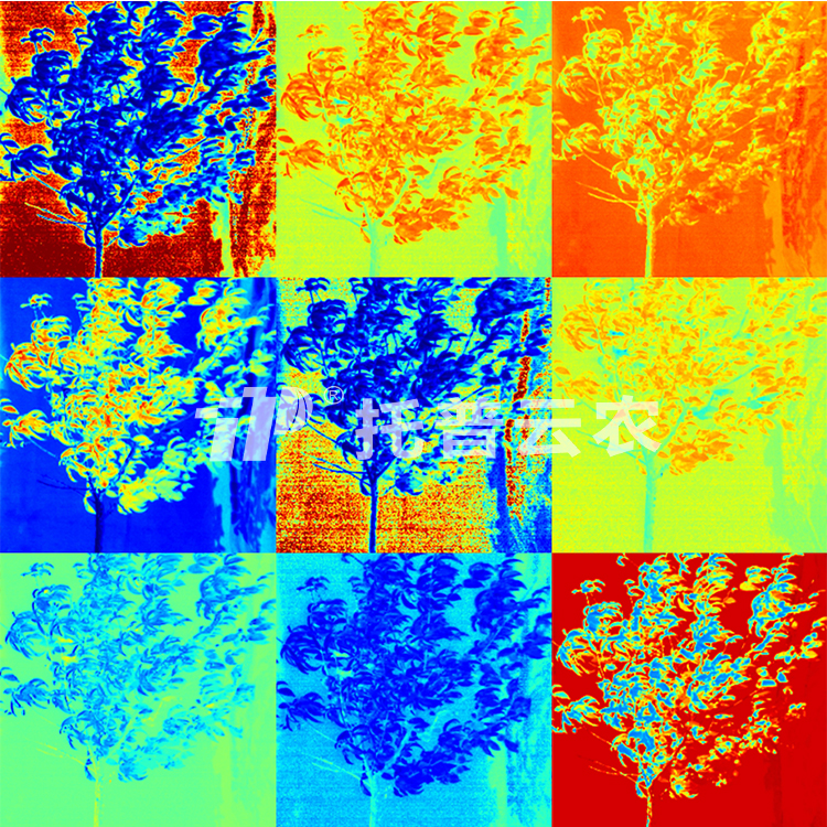 果樹(shù)解析圖2（水?。?jpg